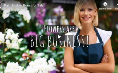 Palm Harbor Florist For Sale