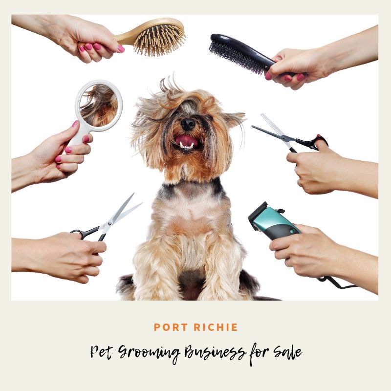 Pet GRooming Business for sale in Port Richie