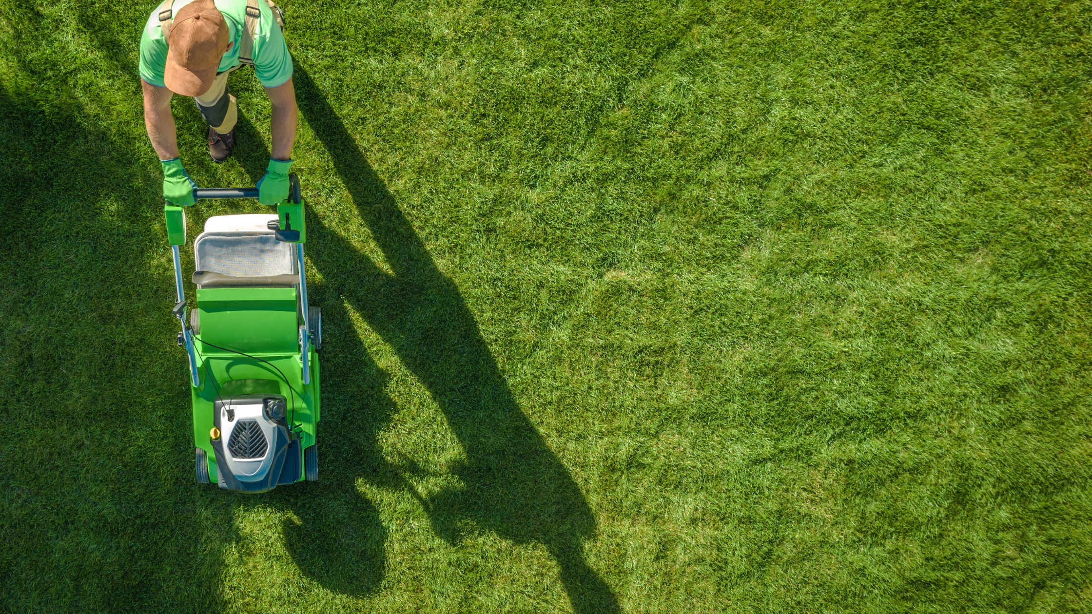 Lawn care business for sale